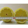 Citroník 'Adamo'  Citrus limon 'Adamo'
