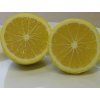 Citroník 'Doux de Mediteranee'  Citrus 'Doux de Mediteranee'