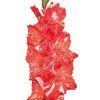Mečík 'Koi Pursuit'  Gladiolus 'Koi Pursuit'