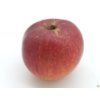 Jabloň 'Jaroslav Němec'  Malus domestica 'Jaroslav Němec'