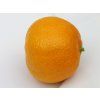 Mandarinka 'Spinoso'  Citrus clementina 'Spinoso'