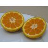 Mandarinka 'Kalinin 5'  Citrus unshiu 'Kalinin 5'