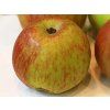 Jabloň 'Bláhovo Oranžové' - kontejner  Malus domestica 'Bláhovo Oranžové'
