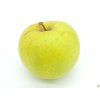 Jabloň 'Sirius' - kontejner  Malus domestica 'Sirius'