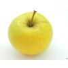 Jabloň 'Sirius' - kontejner  Malus domestica 'Sirius'