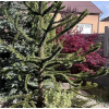 36024 5 36024 5 5fea0165160257e7