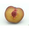 Japonská švestka 'Angeleno'  Prunus salicina ´Angeleno´