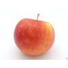 Jabloň 'Bohemia'  Malus domestica 'Bohemia'