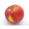 Jabloň 'Bohemia'  Malus domestica 'Bohemia'
