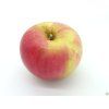 Jabloň 'Freedom'  Malus domestica 'Freedom'
