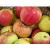 Jabloň 'Pinova'  Malus domestica 'Pinova'