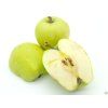 Jabloň 'Produkta'  Malus domestica 'Produkta'