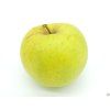Jabloň 'Sirius'  Malus domestica 'Sirius'