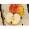 Jabloň 'Švýcarské oranžové'  Malus domestica 'Švýcarské oranžové'