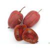 Kiwi 'Purpurna Sadowa'  Actinidia arguta 'Purpurna Sadowa'