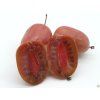 Kiwi 'Scarlet September'  Actinidia arguta 'Scarlet September'