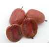 Kiwi 'Scarlet September'  Actinidia arguta 'Scarlet September'