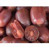 Kiwi 'Scarlet September'  Actinidia arguta 'Scarlet September'