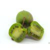 Actinidia Weiki (3)