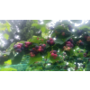 7e384ed3a0879fa9