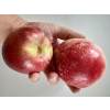 0a2759e63b2e9086