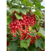 59562 2 59562 2 59562 2 59562 2 59562 2 59562 2 4f0e407ff473d3ba