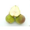 Hrušeň 'Decora' - k sloupovitému zapěstování  Pyrus communis 'Decora'