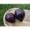Švestkomeruňka 'Flavor Heart'  Prunus hybrid. 'Flavor Heart'