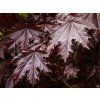 Acer Crimon Sentry (2)