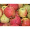 Jabloň 'Strýmka'  Malus domestica 'Strýmka'