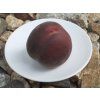 81007 2 broskvon royal majestic