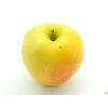 Jabloň 'Anežka'  Malus domestica 'Anežka'