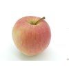 Jabloň 'Svetlana'  Malus domestica 'Svetlana'