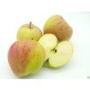 Jabloň 'Andego'  Malus domestica 'Andego'
