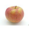 Jabloň 'Beforest'  Malus domestica 'Beforest'
