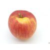 Jabloň 'Muškátová Reneta'  Malus domestica 'Muškátová Reneta'