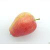 Jabloň 'Česká Pochoutka'  Malus domestica 'Česká Pochoutka'