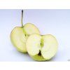 Jabloň 'Auksis'  Malus domestica 'Auksis'