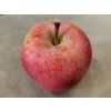 Jabloň 'Rubelit'  Malus domestica 'Rubelit'