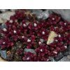 Kosmatec horský - Delosperma cf. alpinum  Delosperma cf. alpinum